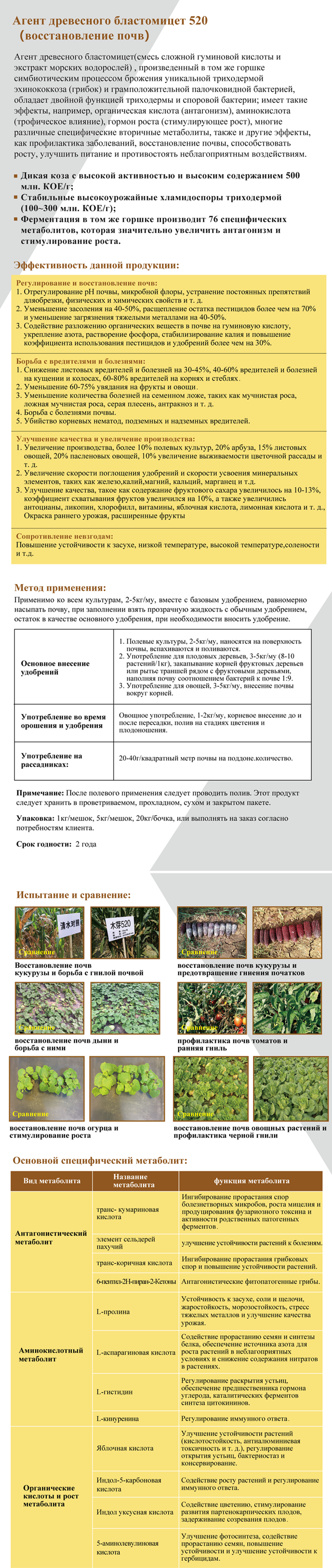 木芽520俄语网页版.png