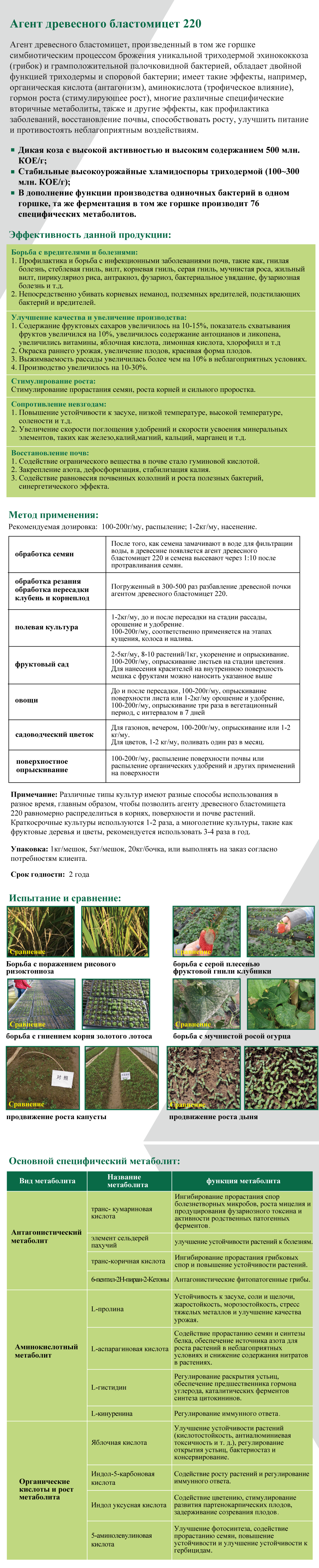 木芽220俄语网页版.png